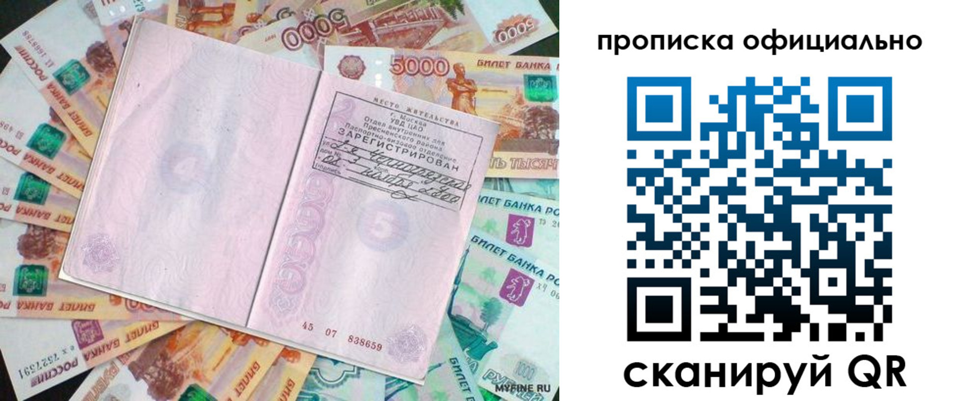 прописка поиск в Павлово